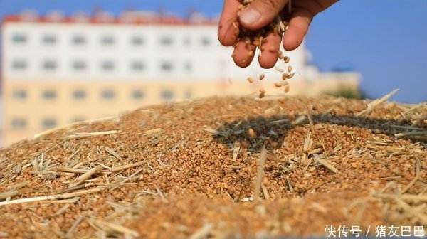盈丰配资 油价跌猛了！5月4日：调价后92,95号汽油价格，麦价上涨停滞！