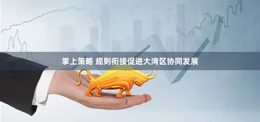 掌上策略 规则衔接促进大湾区协同发展