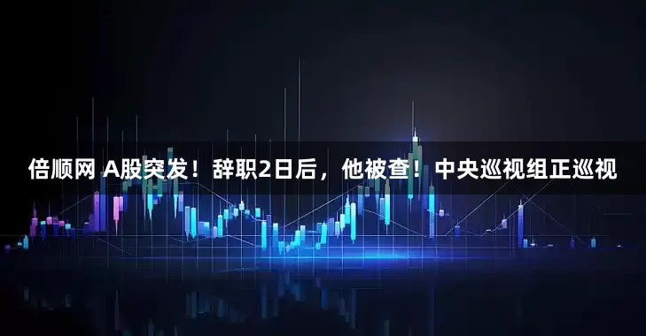 倍顺网 A股突发！辞职2日后，他被查！中央巡视组正巡视