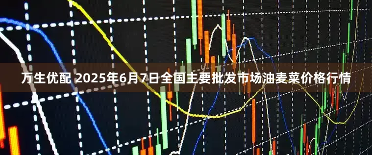 万生优配 2025年6月7日全国主要批发市场油麦菜价格行情